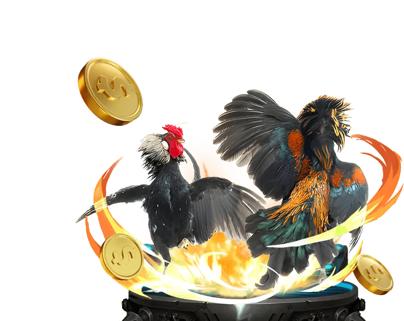 Hướng Dẫn Trò Chơi 678win